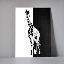 Postkort A5 - Giraf